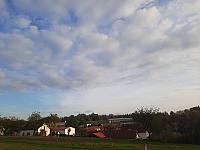 Olešná