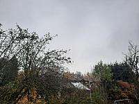 Olešná