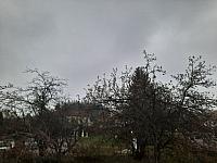 Olešná
