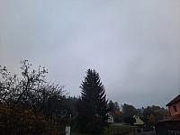 Olešná