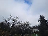 Olešná