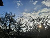 Olešná