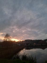 Olešná