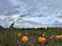 Hrnčiarovce nad Parnou