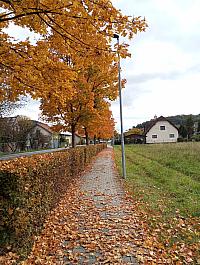 Kopřivnice, Vlčovice