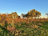 Hrnčiarovce nad Parnou