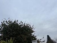 Hrnčiarovce nad Parnou