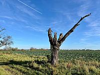 Hrnčiarovce nad Parnou