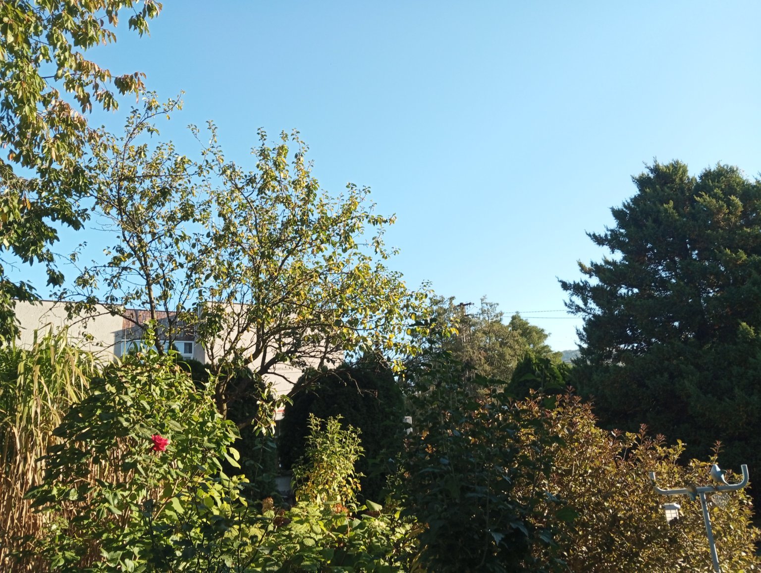 Kopřivnice, Vlčovice