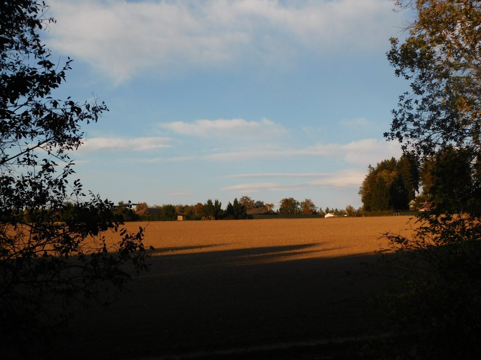 Němčice Zhoř