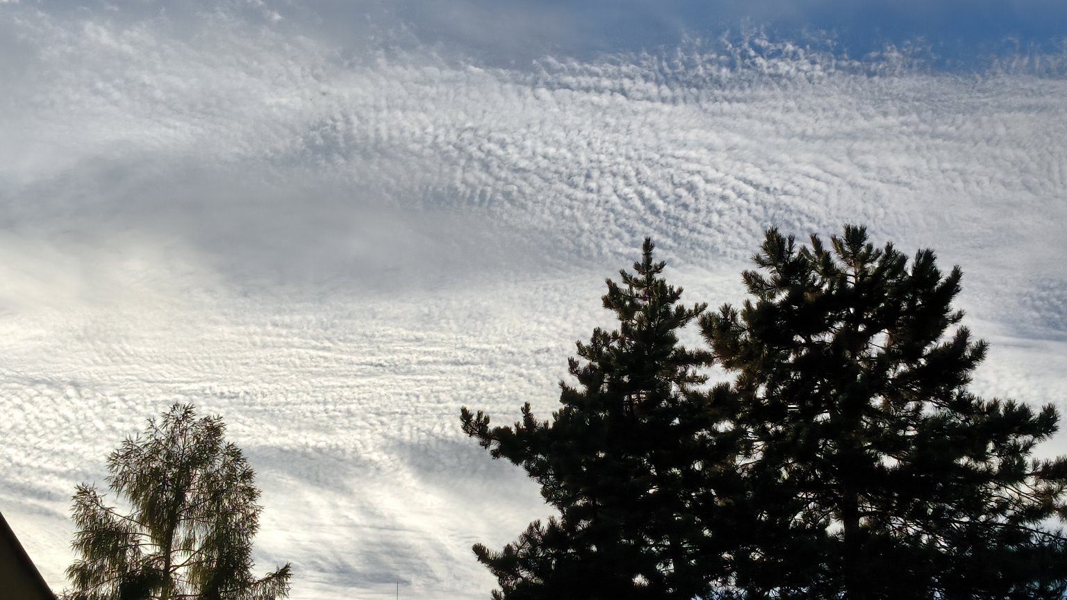 Bílina