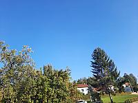 Olešná