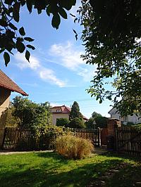 Třibřichy