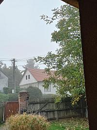Třibřichy