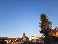 image_1036372.jpg