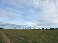 Odrovice