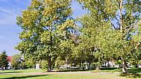 Hradec Králové - Třebeš