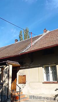 Třibřichy