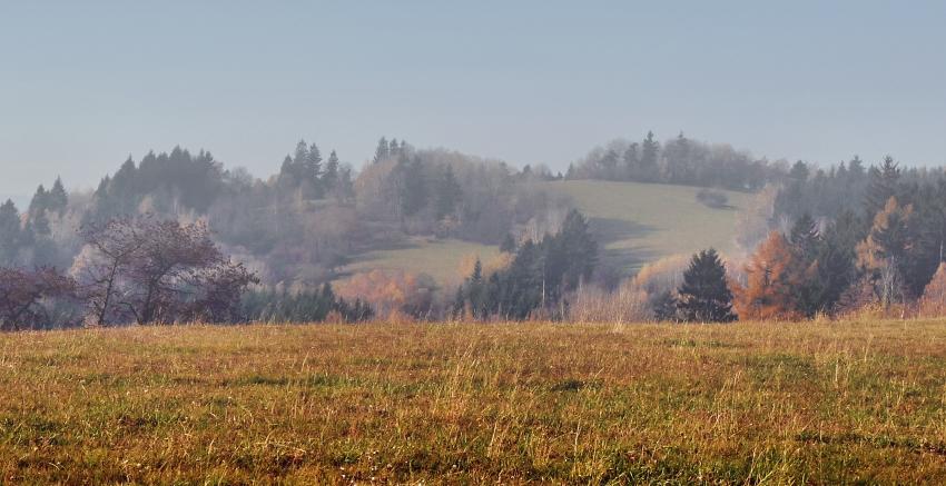 Olešnice na Moravě