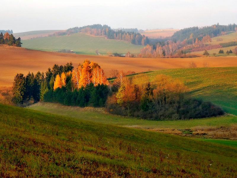 Olešnice na Moravě