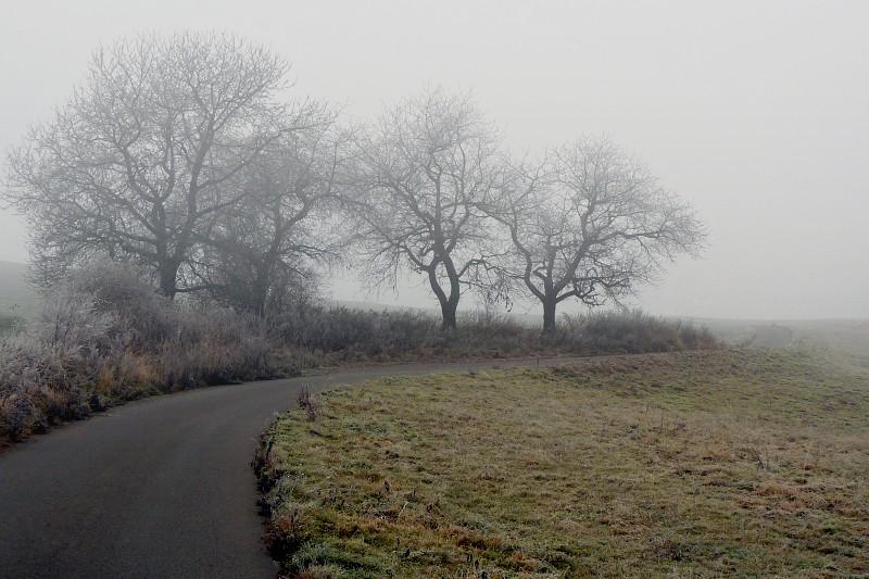 Olešnice na Moravě