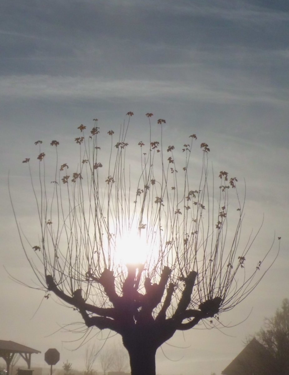 Slavičín, sídliště Vlára