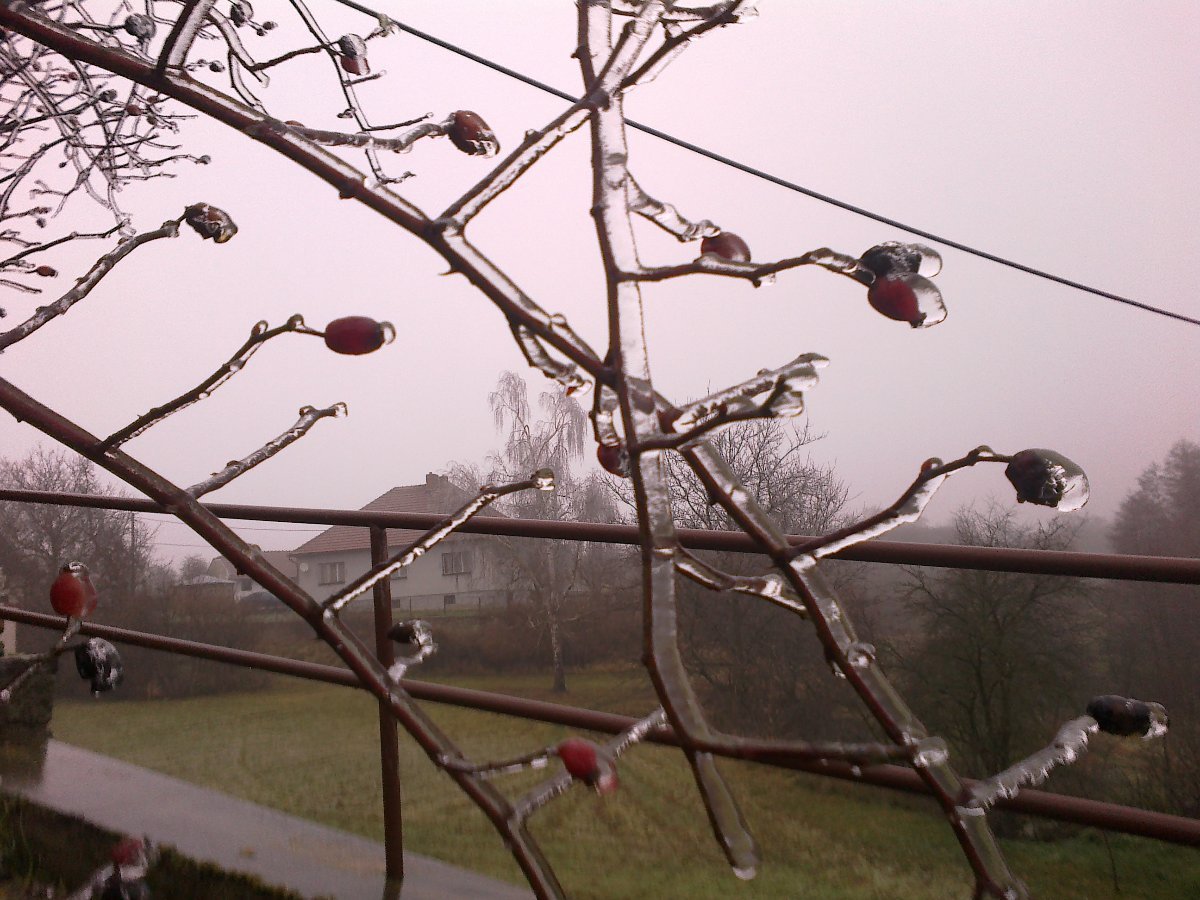 Velká Bíteš, Březka