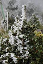 Třebouňský vrch u Toužimi