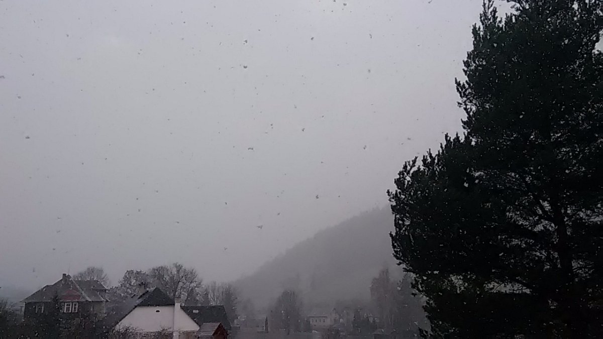 Holčovice okr. Bruntál