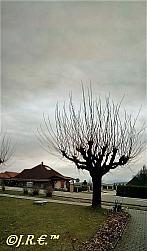 Slavičín, sídliště Vlára
