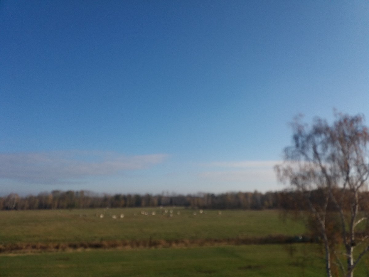 Borkovice-Kozohlůdky