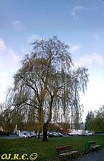 Slavičín, sídliště Vlára