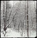 Rokytnice nad Rokytnou