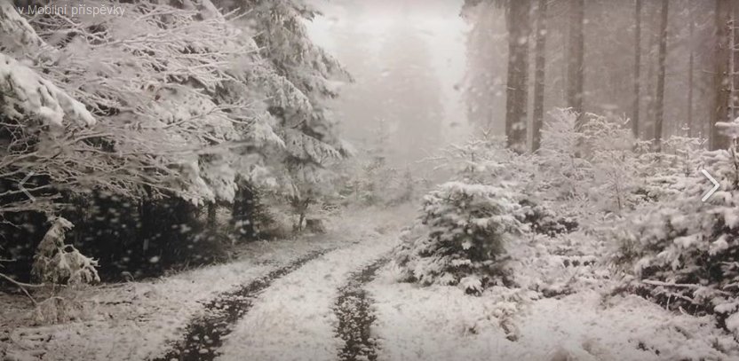 Třebouňský vrch u Toužimi