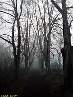 Slavičín, sídliště Vlára