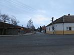 Třibřichy
