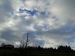 Skalité