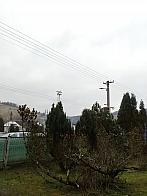 Skalité