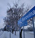 Borovina