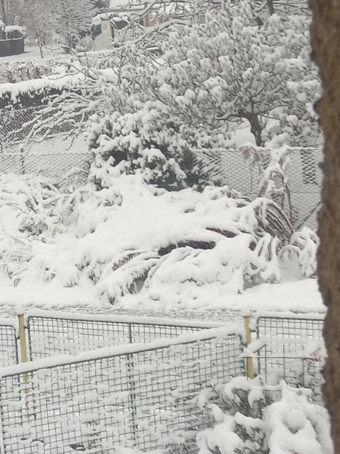 Mokrosuky, Pošumaví