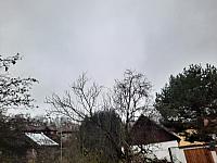 Olešná
