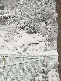 Mokrosuky, Pošumaví