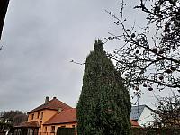 Olešná
