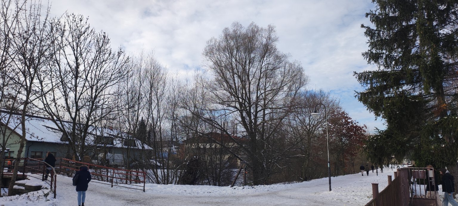 Jablunkov lesní 190