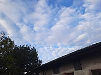 Olešná