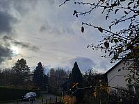 Olešná