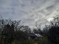 Olešná