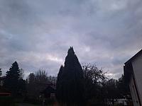 Olešná