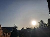 Olešná