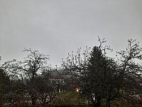 Olešná